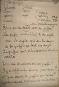 grif_affich1.JPG (43682 octets)