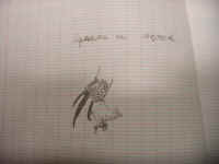 jeremie1.JPG (19081 octets)